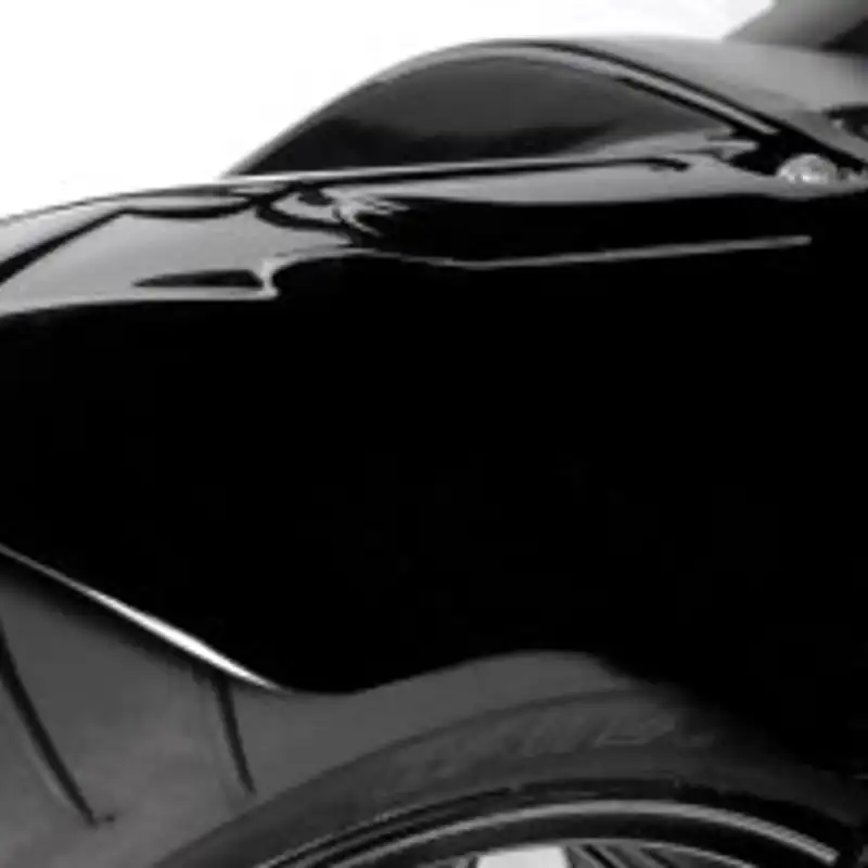 Rear Hugger