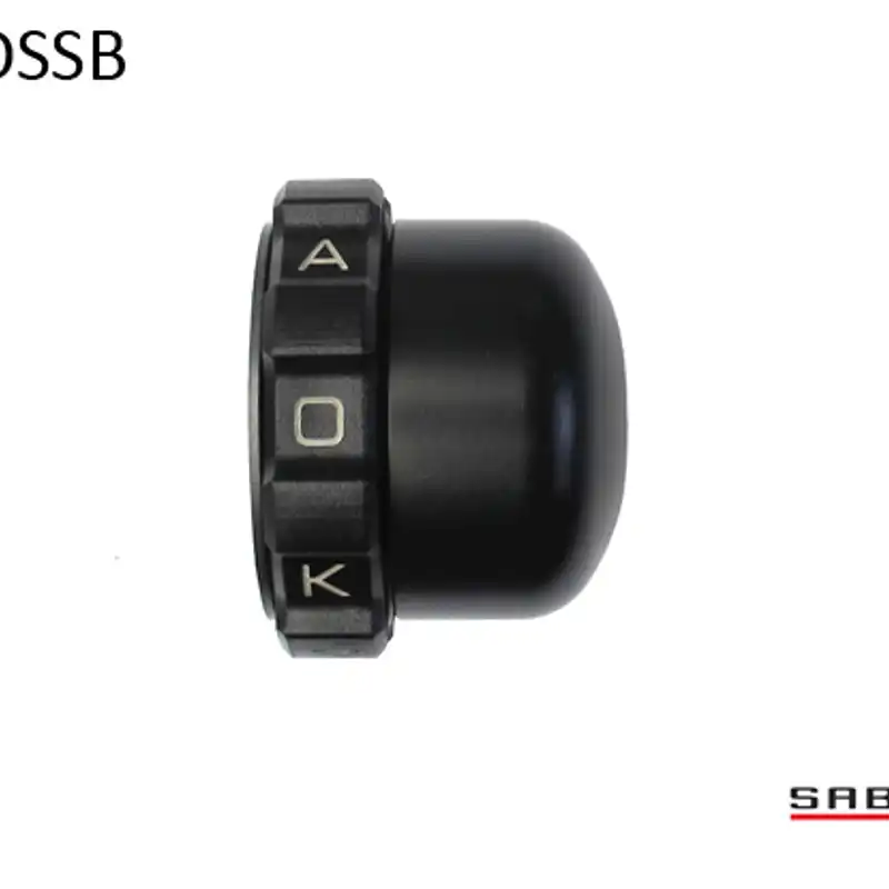Kaoko Throttle Stabilizer for the Triumph Thunderbird Storm 1700 (2012-2014) With stainless steel and painted black end-weights)