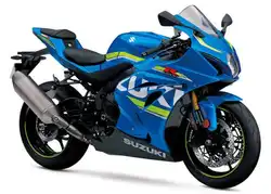 Suzuki GSX-R1000R